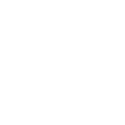 Assist IT Logo
